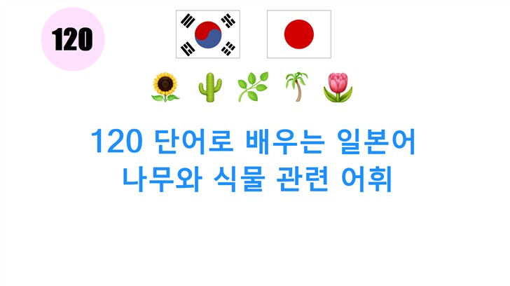 120 단어로 배우는 일본어: 나무와 식물 관련 어휘